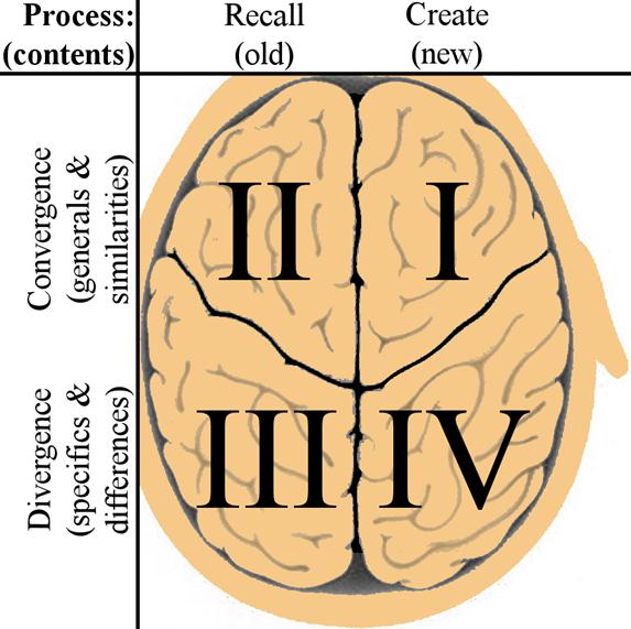 How the Human Brain Works